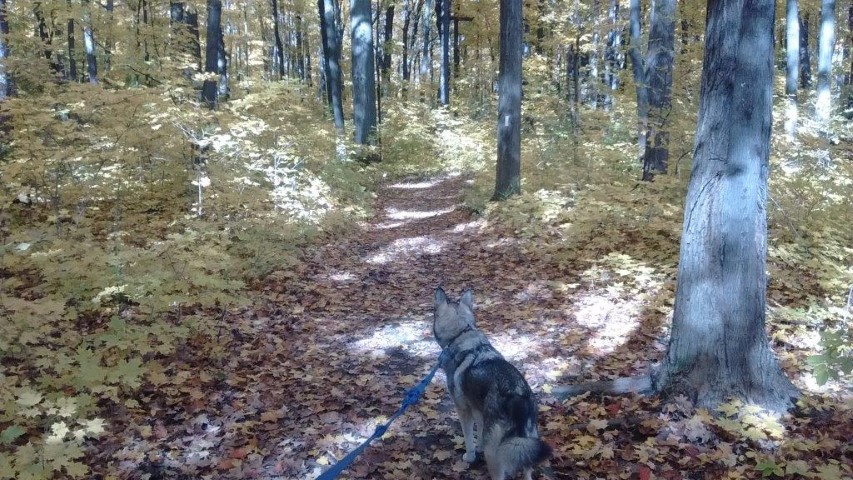 Can I Walk Around the Sunbeams